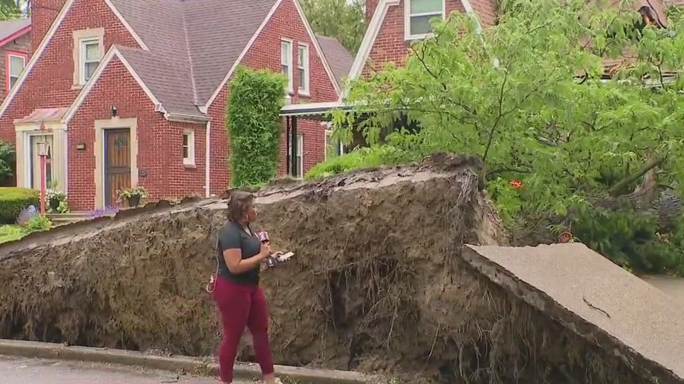 Tormentas de árboles desarraigadoras en Detroit Home