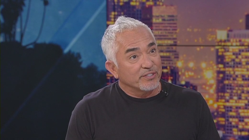 Cesar Millan talks about season 4 of his show