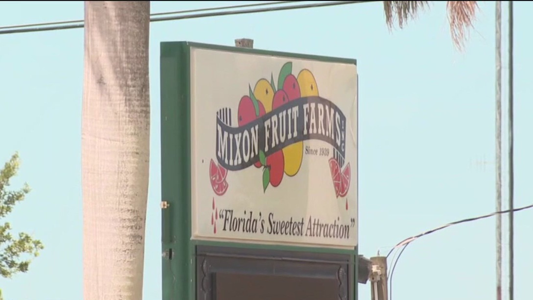 Deciding the future of Mixon Fruit Farms