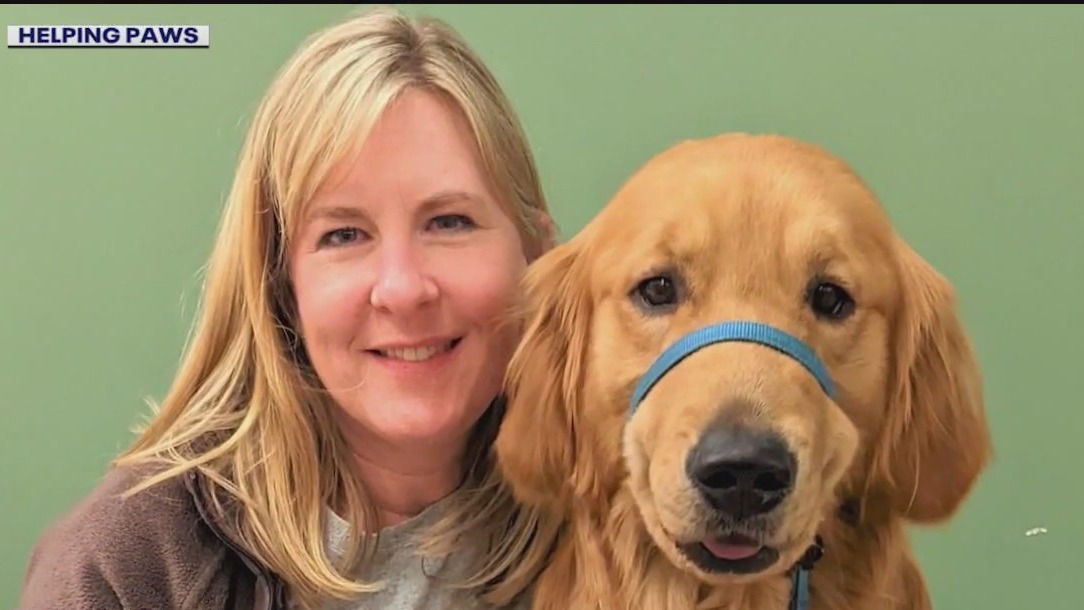 Melissa Hortman's work with nonprofit Helping Paws