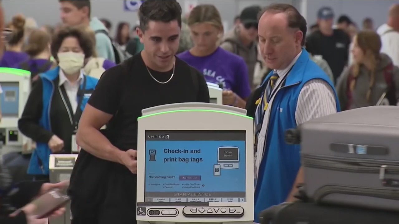 Businesses back on track after global computer outage