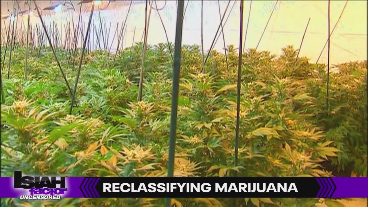 President Trump considers reclassifying marijuana