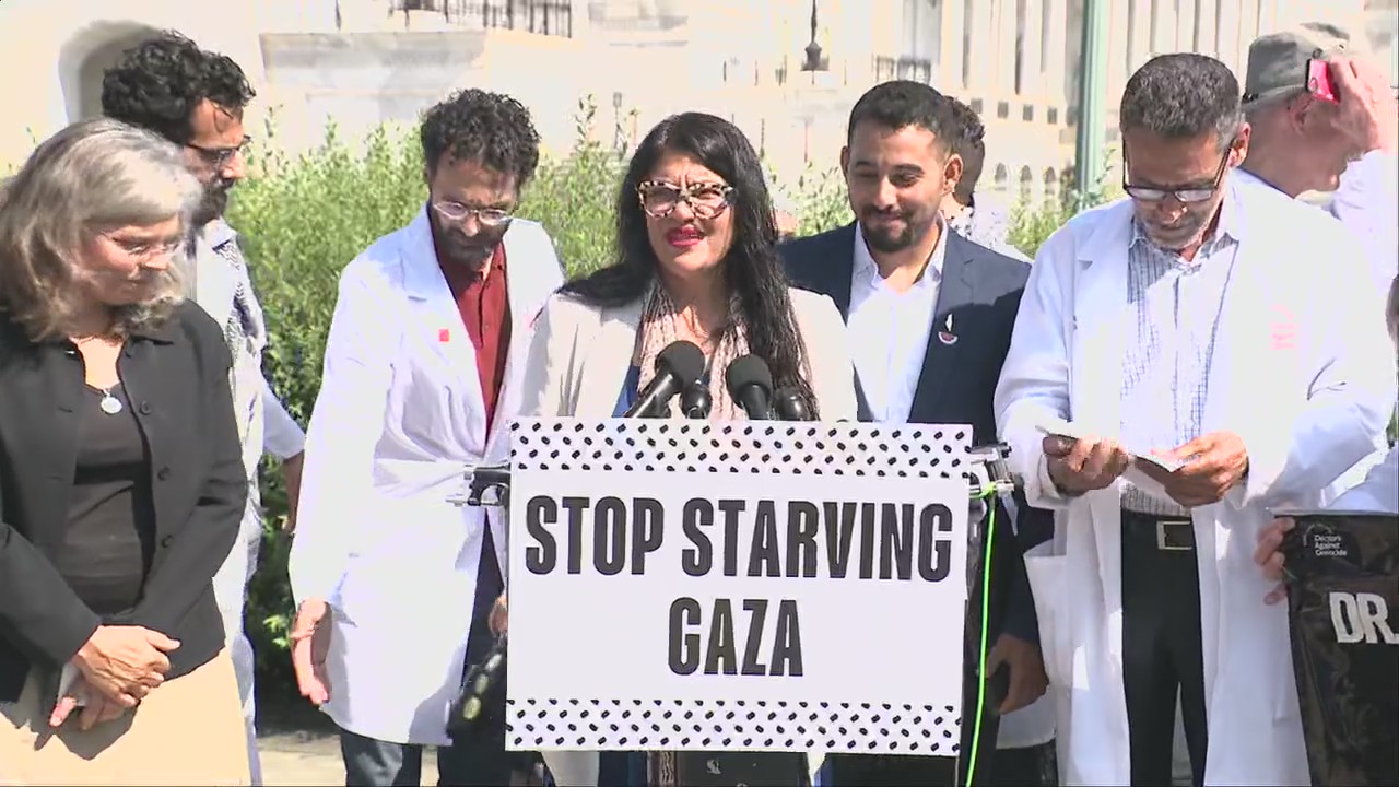 Rep. Rashida Tlaib and Pro-Palestine advocate for relief in Gaza