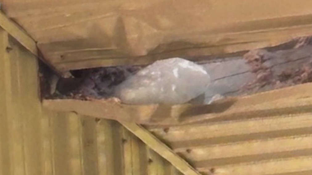 Mysterious ice chunk falls from sky