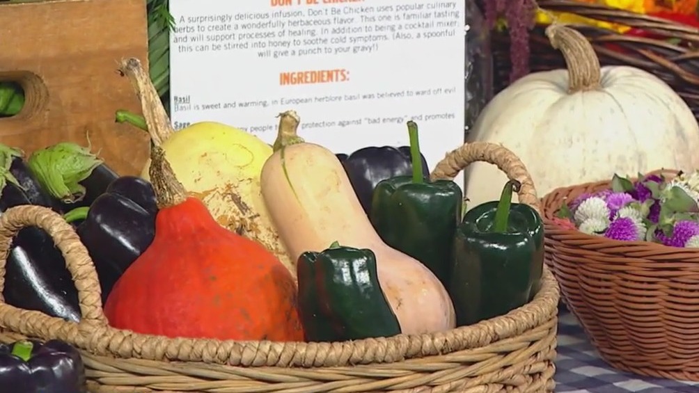 Urban Growers Collective hosts annual Harvest Fest with food, fun, and family activities