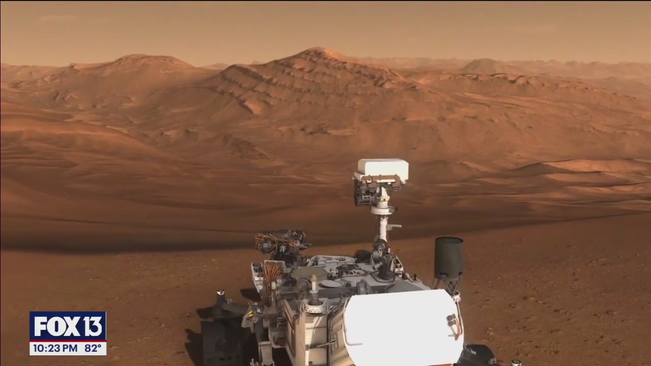The search for life on Mars