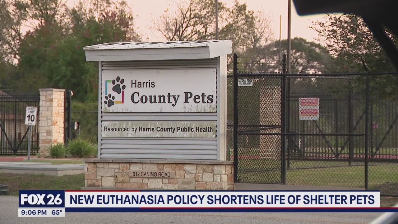 New policy shortens the lie of pets in shelter