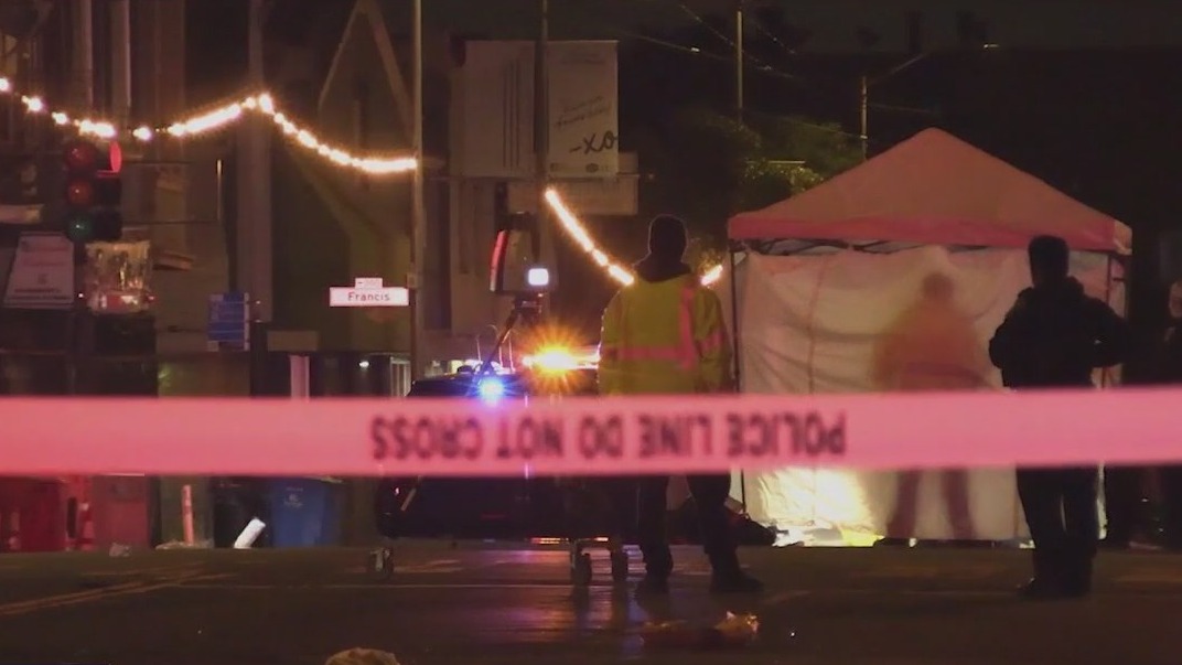 Pedestrian killed in hit-and-run crash in San Franciscos Excelsior District