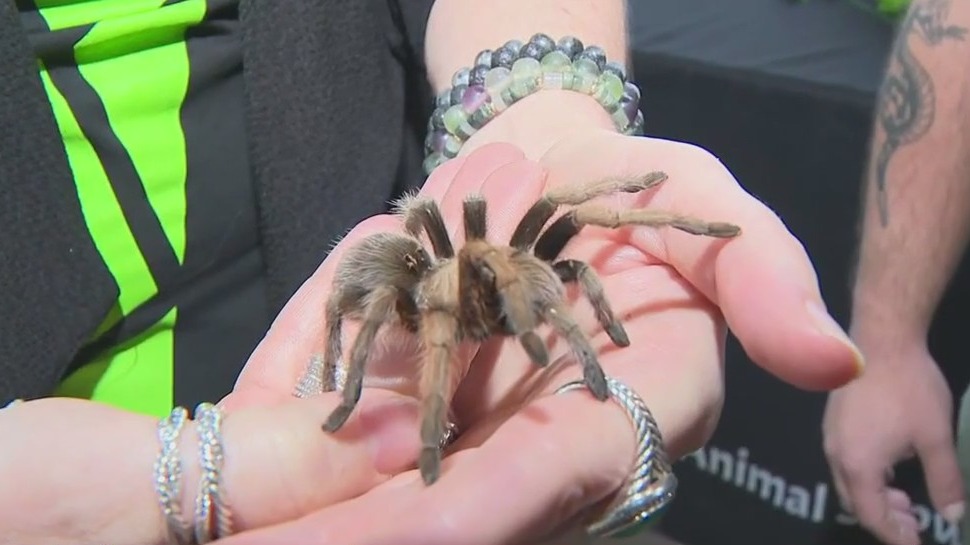 Thrilling ways to face your fears on 'National Face Your Fears Day'