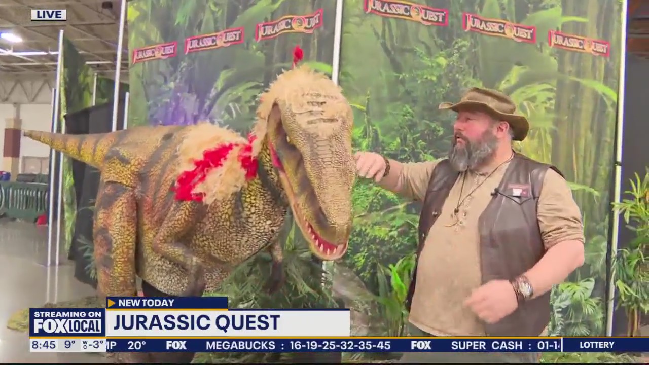 Check out a raptor at Jurassic Quest