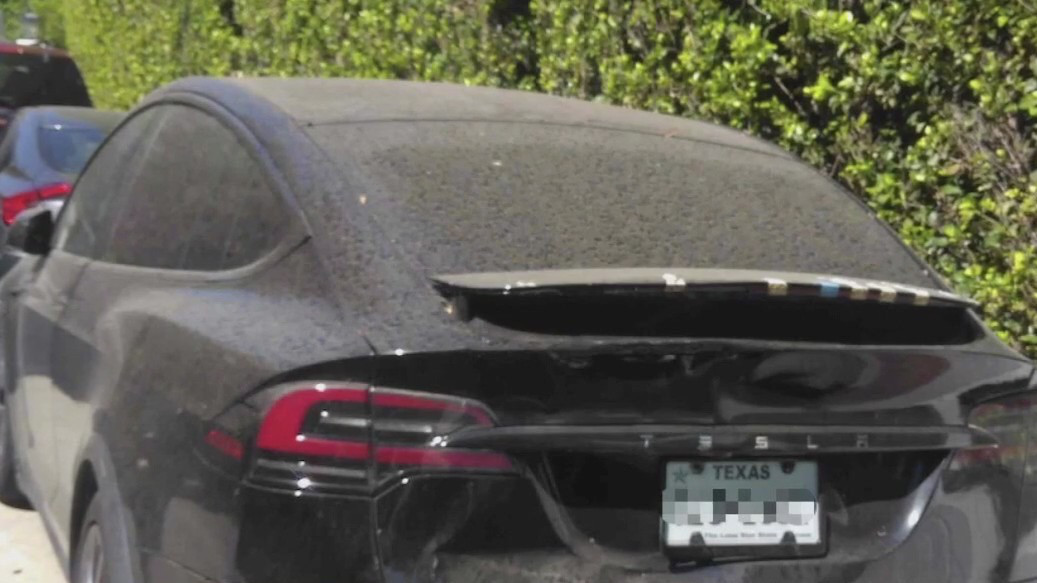 Private investigator discusses Celeste Rivas case