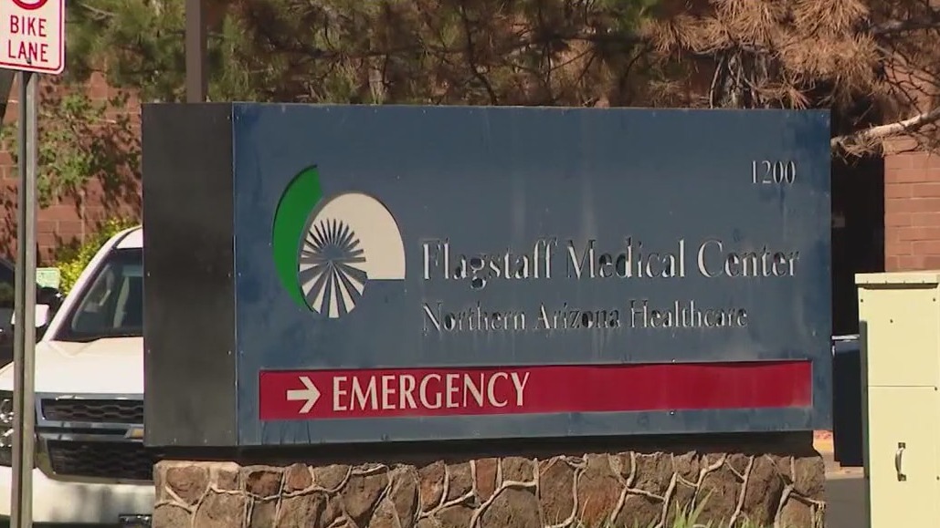 Plague death in Arizona: Source under investigation