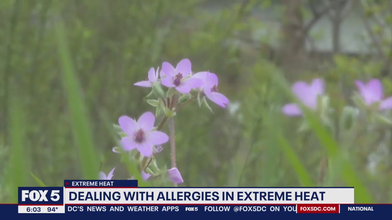 Dealing with allergies in the extreme heat