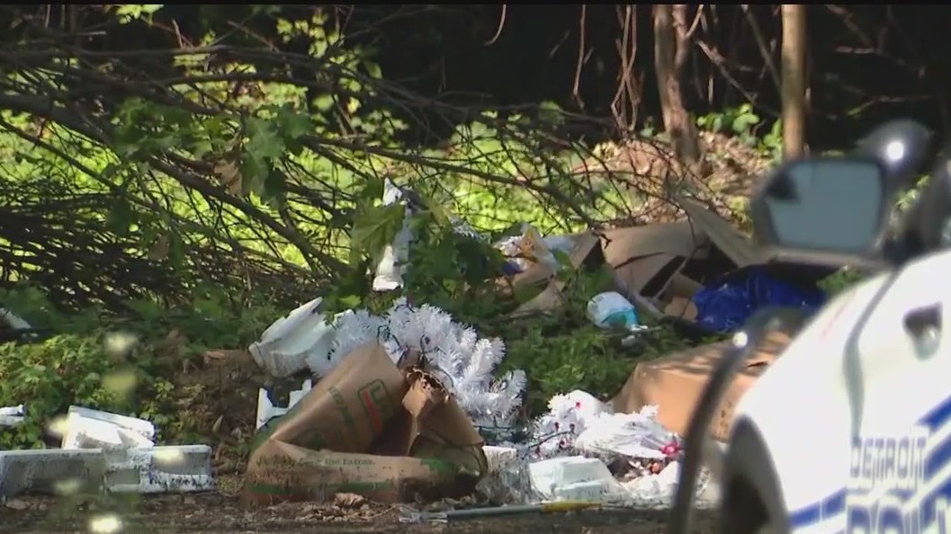 V Detroitu poteka iskanje pogrešanih oseb, med njimi 15-letnega Lawrencea Dowla