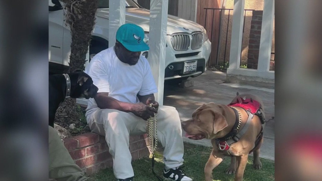 Homeless man, dog killed outside Los Feliz shelter