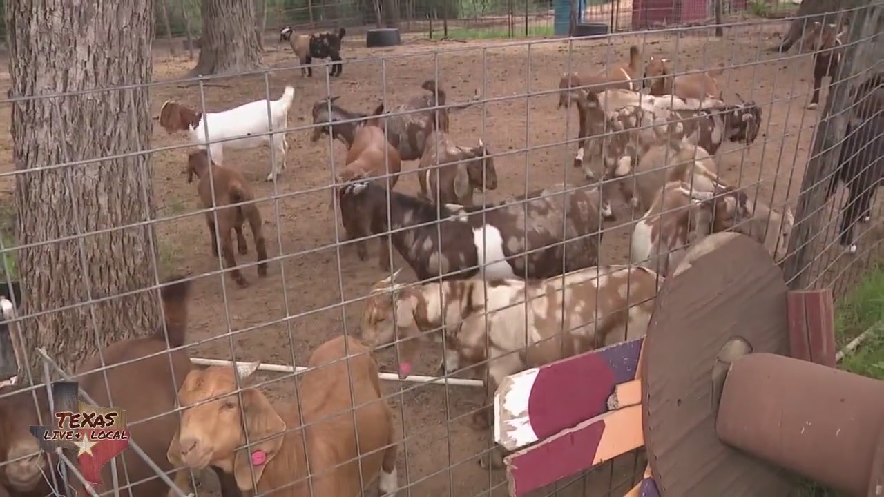 Republic Boots, Tropical Weather Forecast, and more!