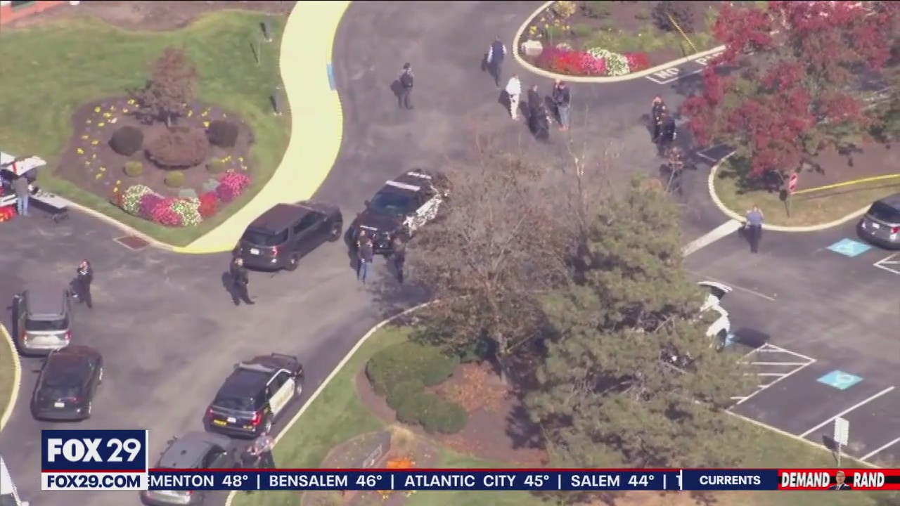 Erratic driver strikes officer 4 times in Montgomery County: Everything we know