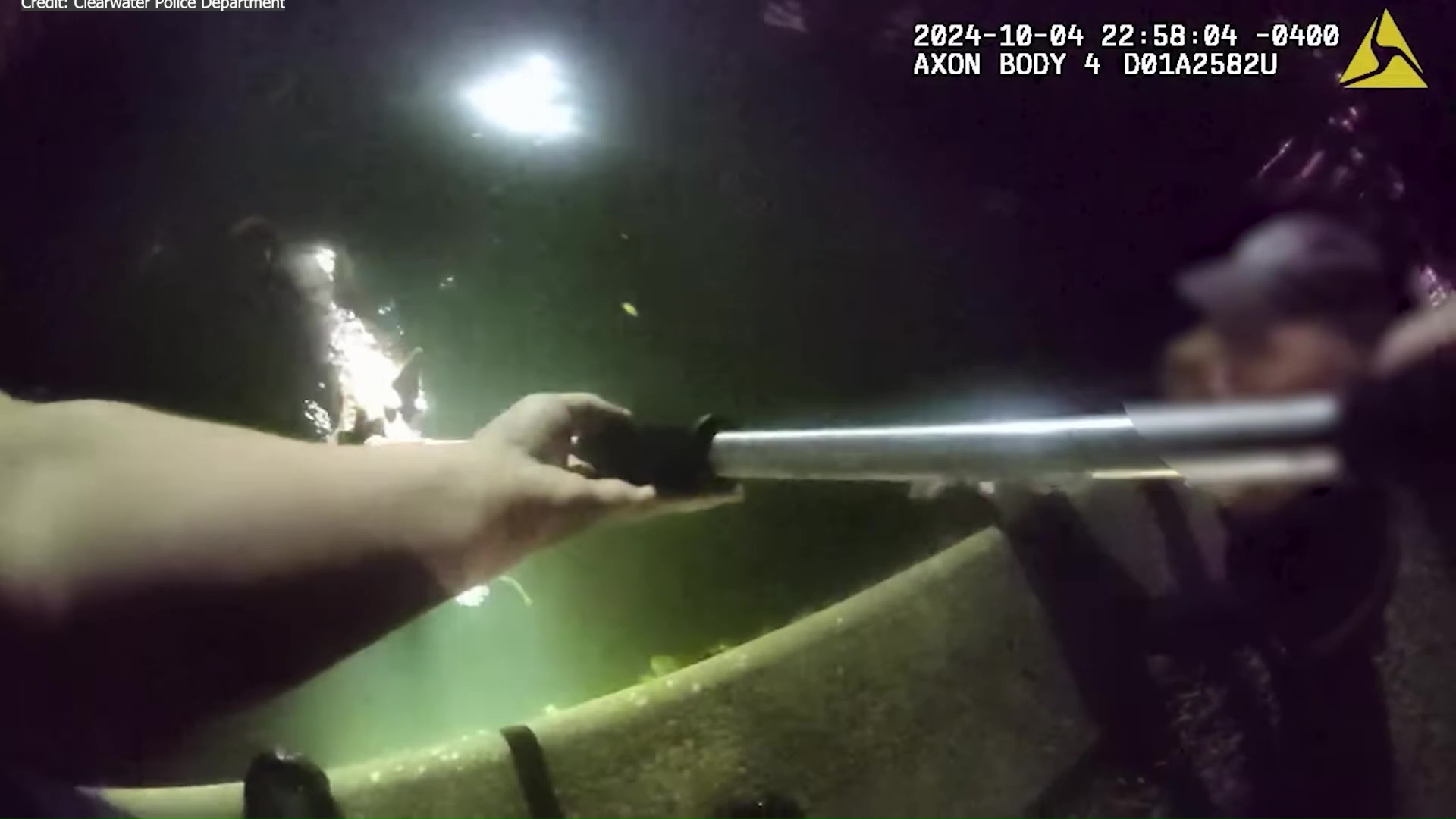 Clearwater police save dog from drowning