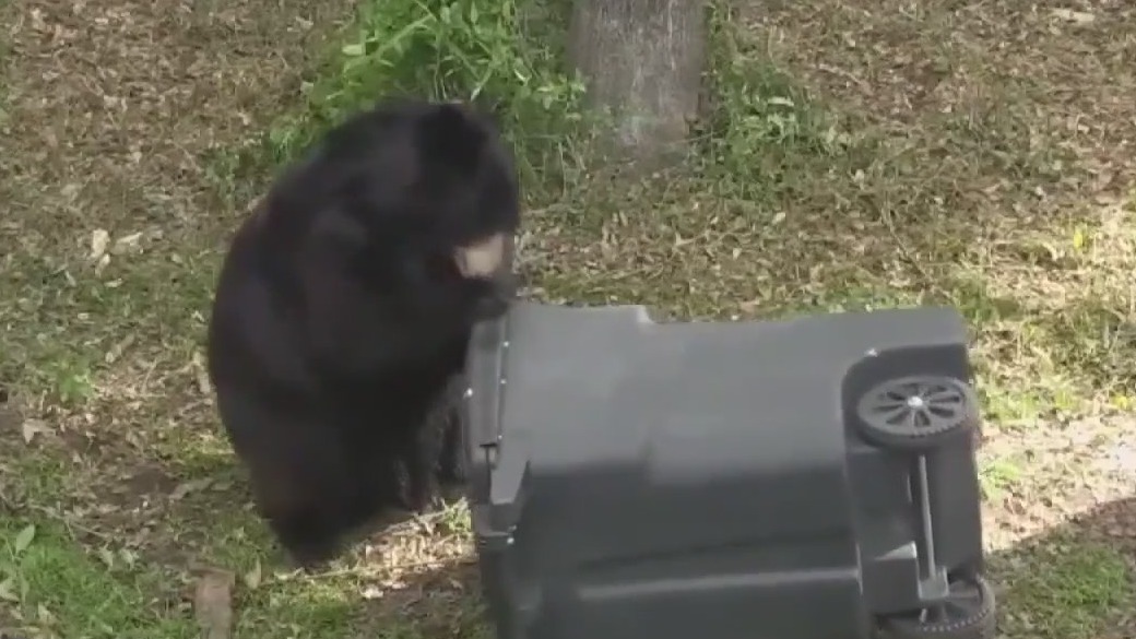 New Florida laws go into effect July 1