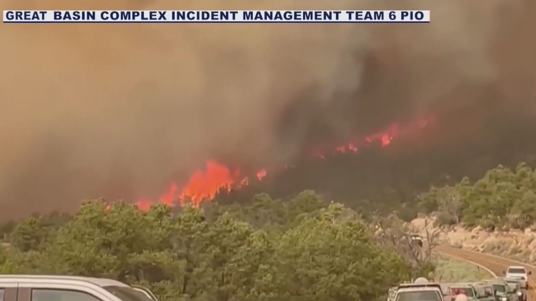 Dragon Bravo Fire: Family loses home to blaze