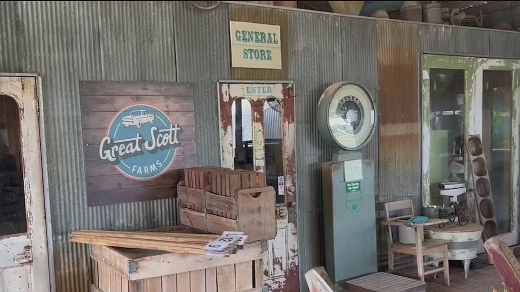 Long and Scott’s Farm prepares for potential final fall season