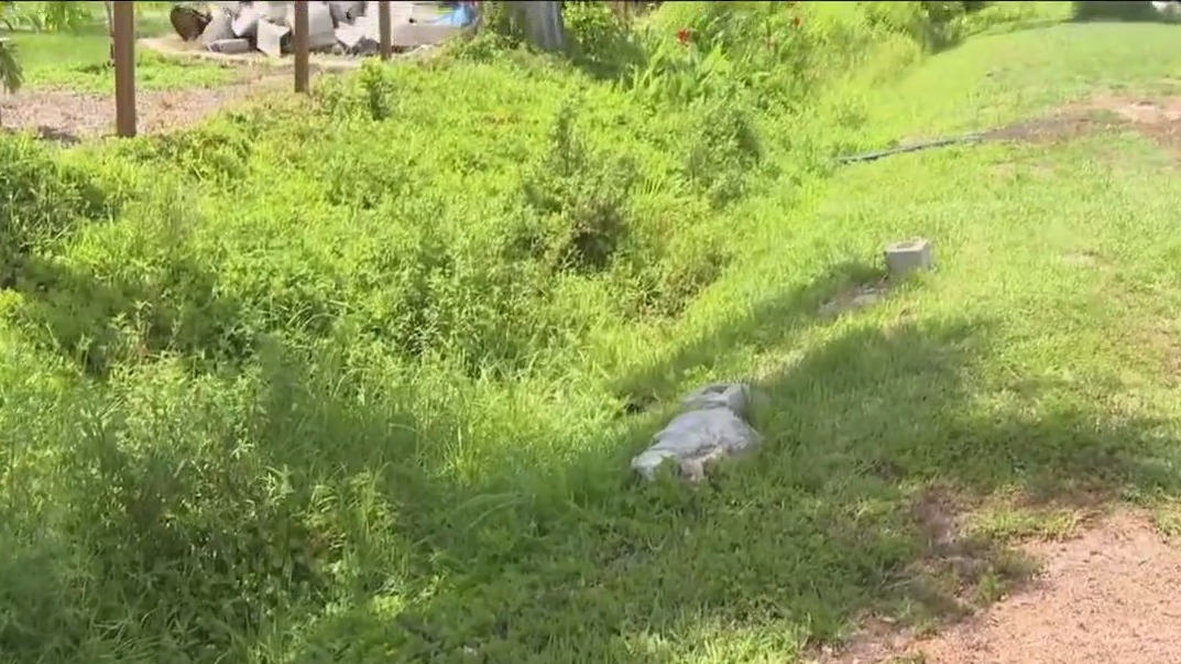 Phillippi Creek ditch concerns