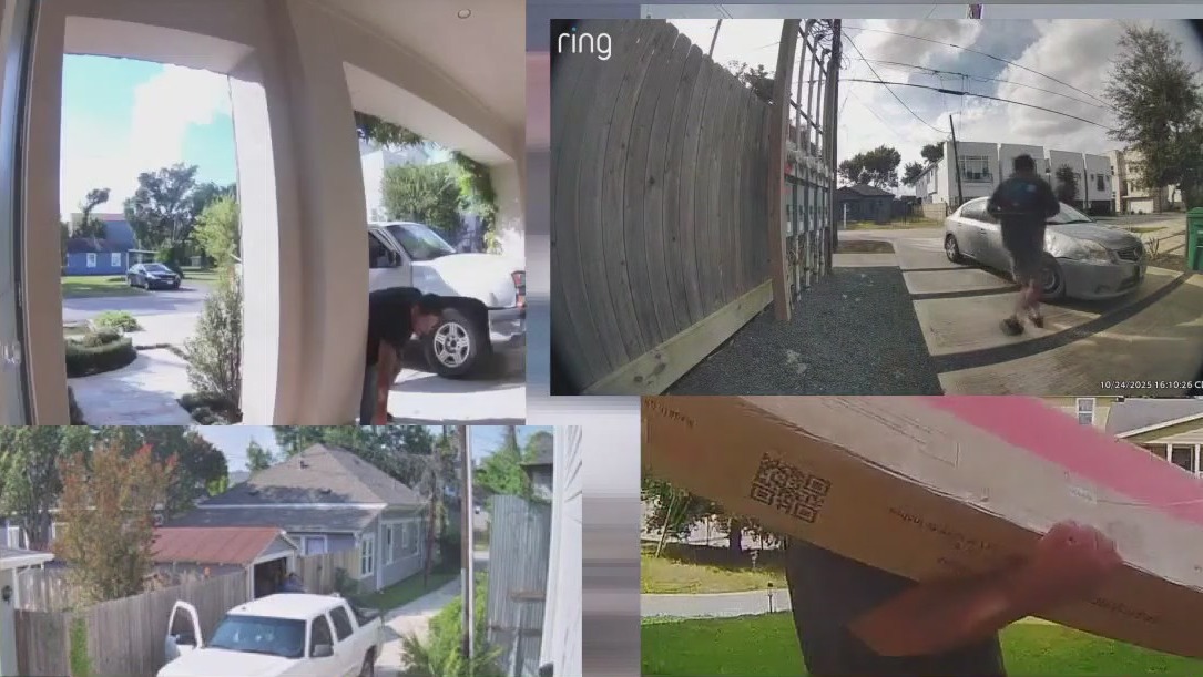 Two brothers accused in Houston burglary spree