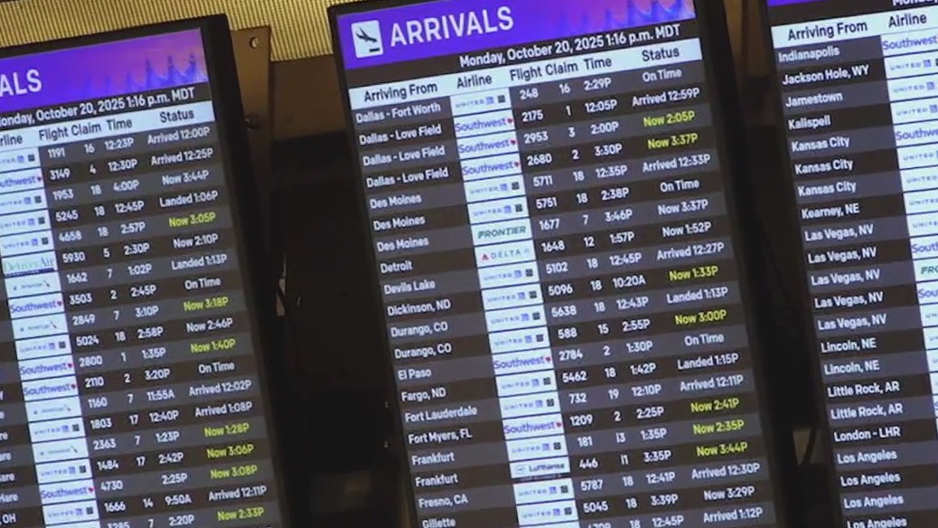 Government shutdown: Delays impacting airports