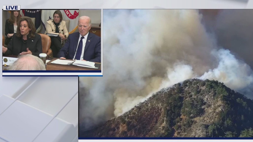 Harris: Insurers dropped LA homeowners before fires