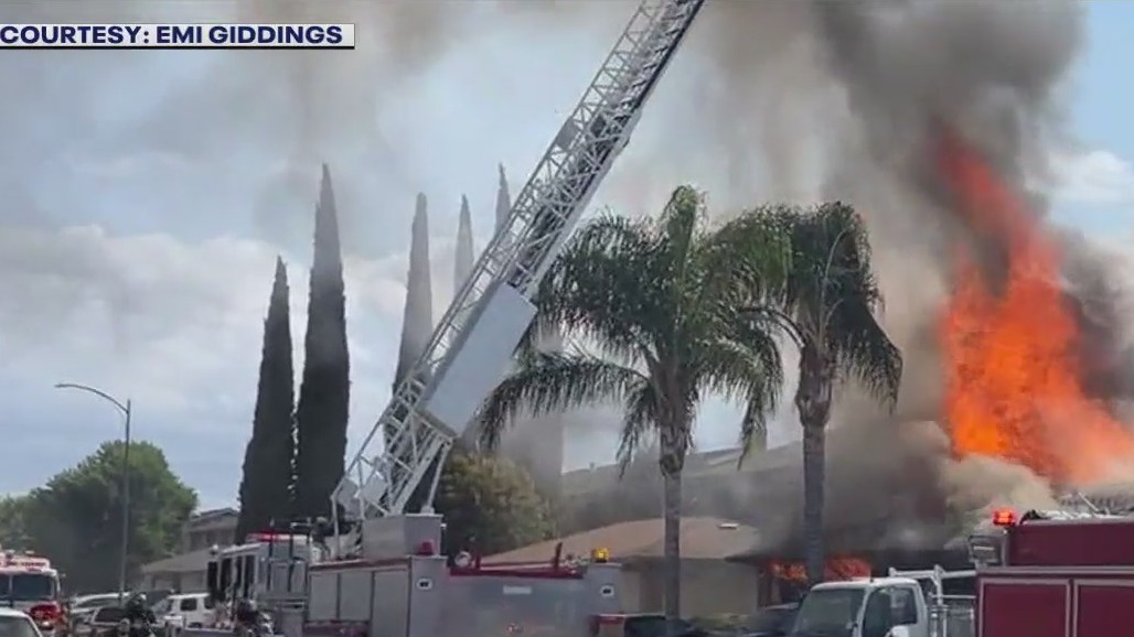 Townhouse fire kills 2 dogs, injures firefighter