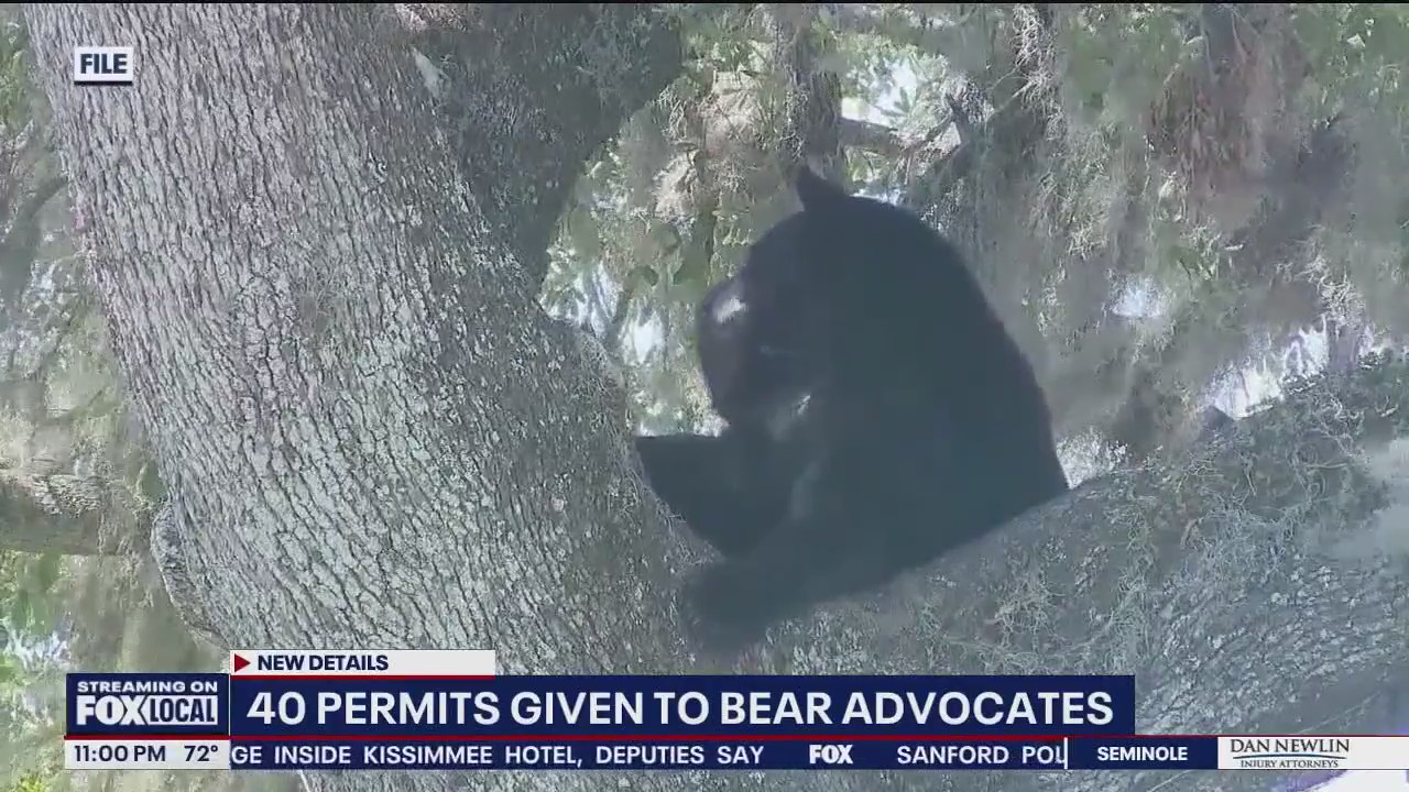 Bear advocates buy permits to save animals ahead of hunt