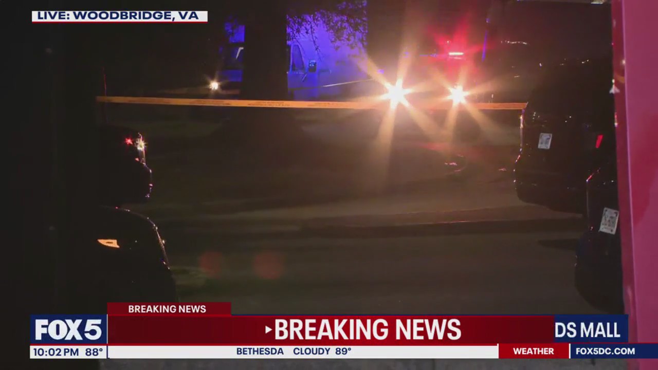 Armed man shot, killed near Potomac Mills outlet mall: police