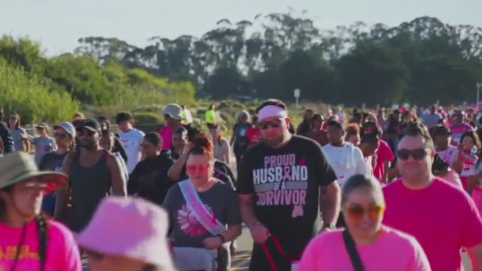 Making Strides Against Breast Cancer