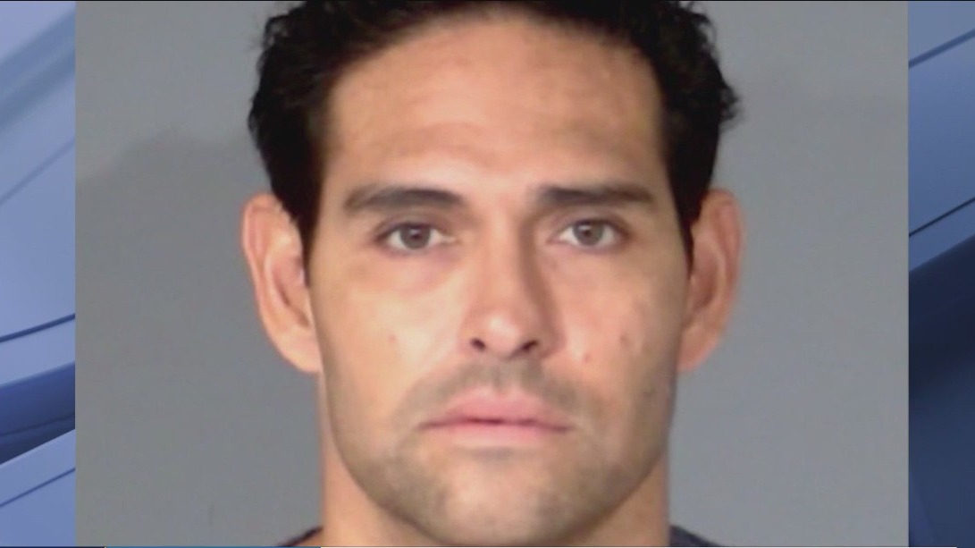Mark Sanchez released from custody