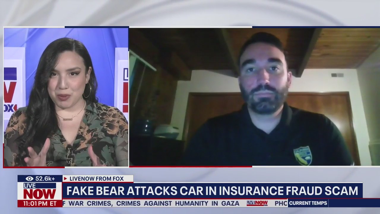 Moški iz Montane obsojen umora na kampiranju, sprva poročano kot napad medveda