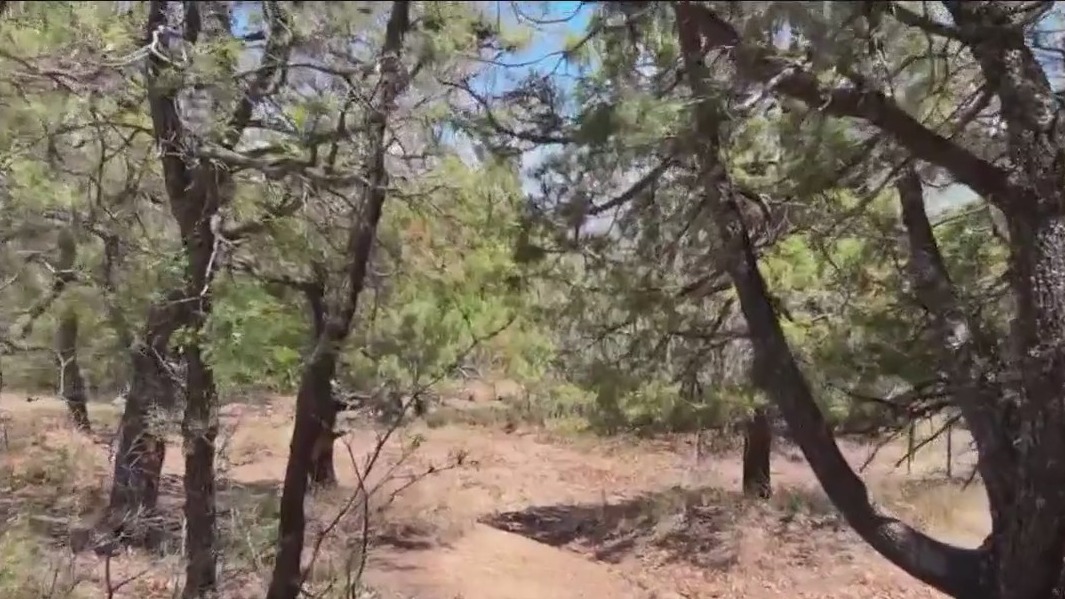 Minnesota man accused of killing 2 in Arizona