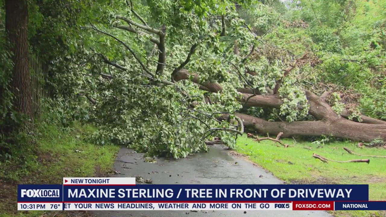 Massive tree falls in woman's driveway amid storms