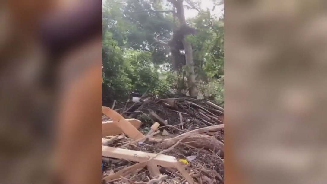 Texas twins’ hero horse sucked into quicksand during Central Texas flood relief