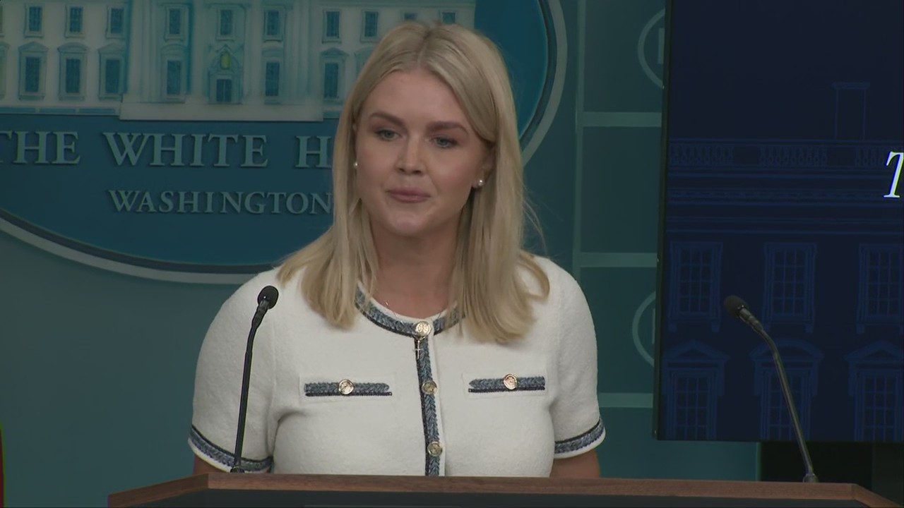 Trump faces pressure to release Jeffrey Epstein docs