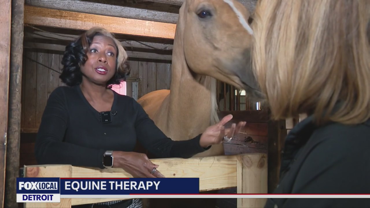 Equine therapy helps former FOX 2 anchor Anqunette Jamison