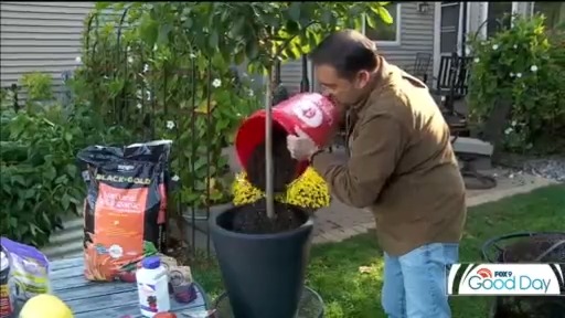 October garden check list