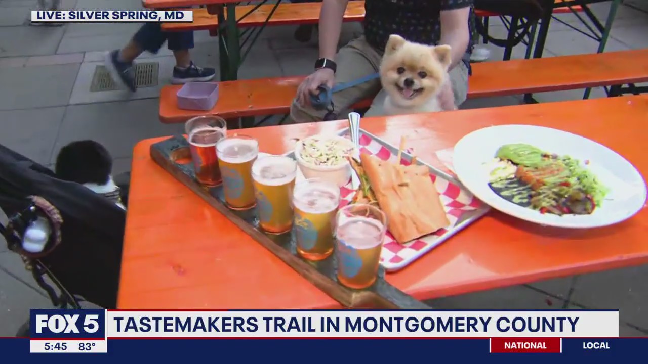 Visiting the Silver Branch Brewing Company along Montgomery County's Tastemakers Trail