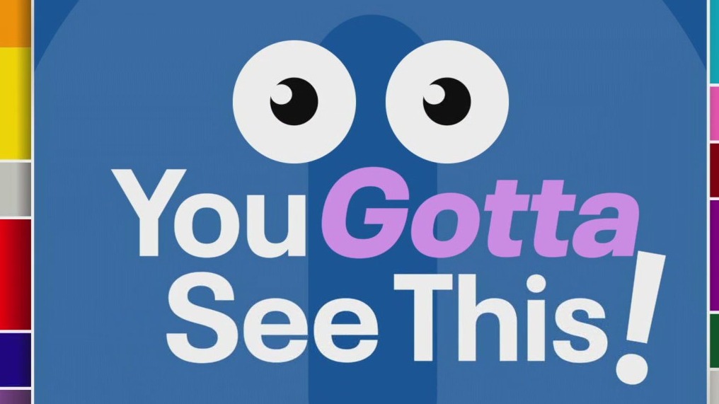 You Gotta See This: World's Ugliest Dog and High Heel Race