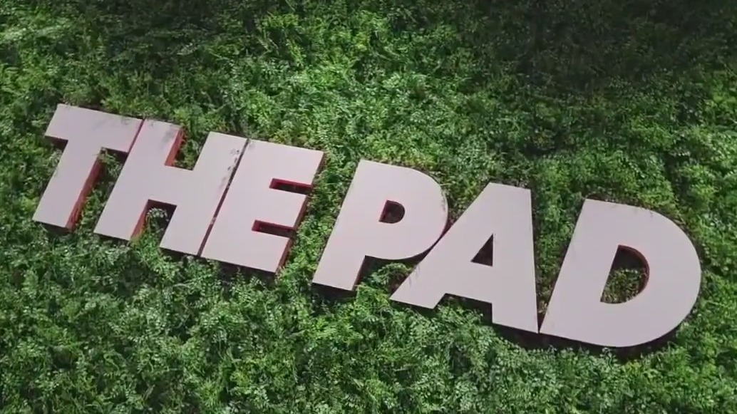 Charley's World | The Pad Sarasota