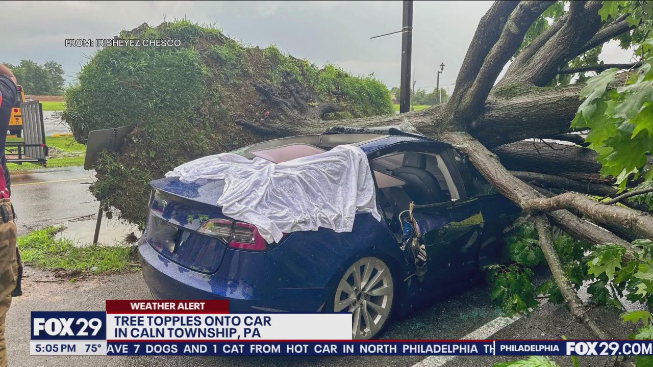 Tree topples onto car in Caln Twp.