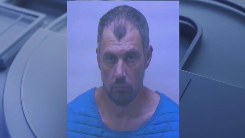 Michigan Walmart stabbing suspect charged with terrorism