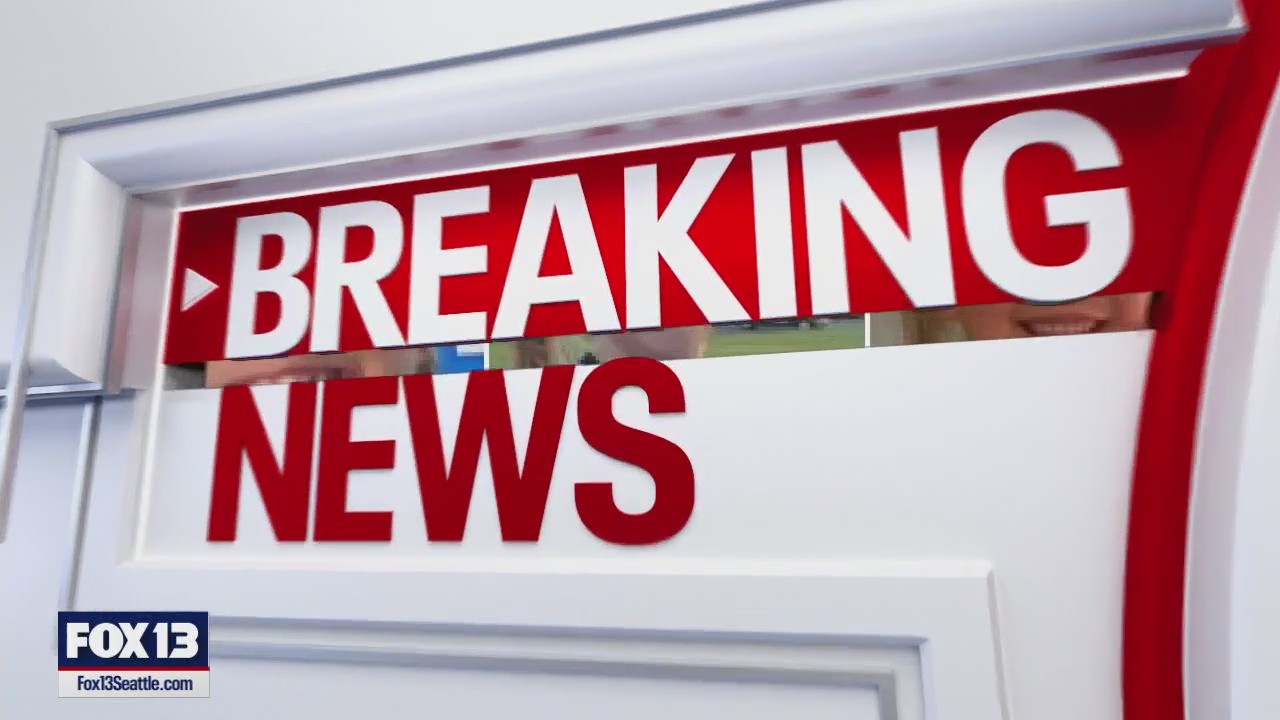 FOX 13 News at 10pm for Tuesday, 6/3