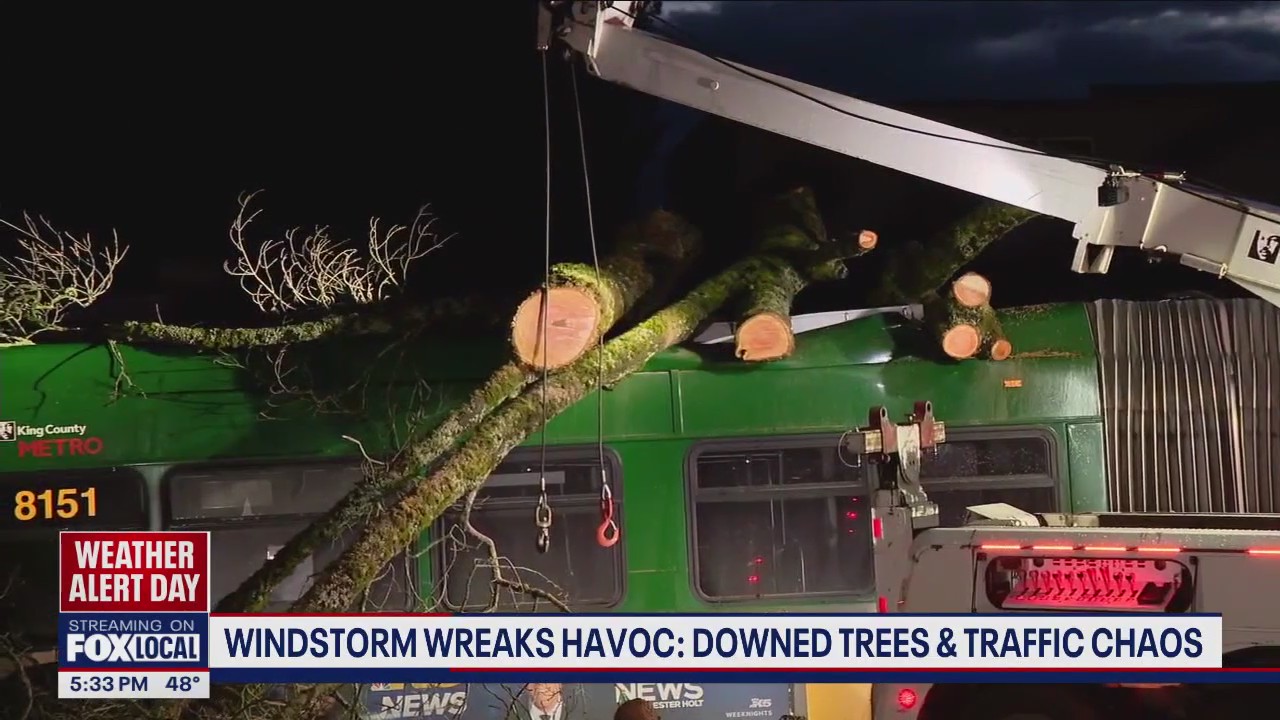 Windstorm wreaks havoc on WA mass transit, traffic