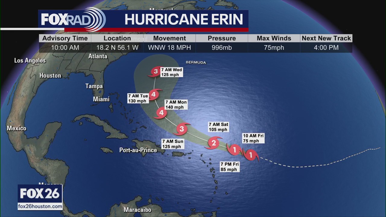 Hurricane Erin, Gulf disturbance, and furry friends!