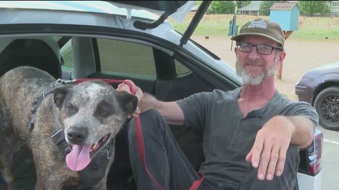 Tips for keeping pets cool amid blazing temps